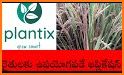 Plantix - your crop doctor related image