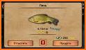 My Fishing HD related image