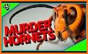 Murder Hornet Tips! related image