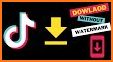 Video Downloader for TikTok - TikMate related image