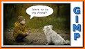 Photo Talks: Speech Bubbles Comic Creator related image