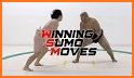 Sumo Techniques related image