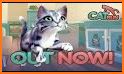 Crazy Cat Rush Racing Run Kitty Craft related image