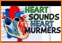 Heart Sounds And Murmurs related image