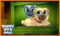 Puppy Dog Pals Race Free Game related image