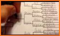 Bracket HQ | Tournament Bracket Maker related image