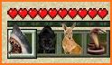 World Animals Mod for Minecraft Pocket Edition related image