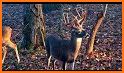 Grand Deer Hunting 2019 related image