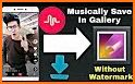 Musically Video Downloader related image