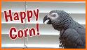 Happy Corn related image