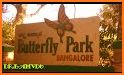 Butterfly Park related image