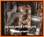 shri kashi vishwanath aarti booking related image