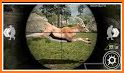 CLASSIC DEER HUNTER 2020:SNIPER SHOOTER related image