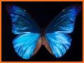 BluMorpho related image