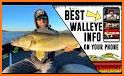 Walleye Now related image