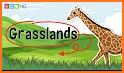 Grassland Animals for Kids related image