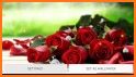 Valentine Roses Live wallpaper related image