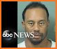 Tiger Woods News related image