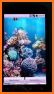 aniPet Aquarium Live Wallpaper related image