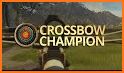 Crossbow Shooting Game related image