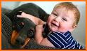 Baby Pet Labrador Care Puppy Nanny Daycare related image