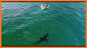 DroneShark related image