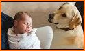 Puppy Newborn Baby related image