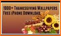 2017 Happy Thanksgiving Live Wallpaper HD related image