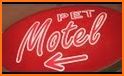 Animal Motel related image