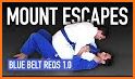 Brazilian Jiu Jitsu Blue Belt Requirements 2.0 related image