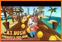 Pet Runner - Cat Rush related image