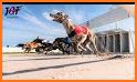 Dog Run - Pet Greyhound Dog Simulator Race 3D 2020 related image