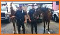 Police Horse Street Crime Chase: NY City Cop Duty related image