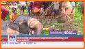 Malayalam news live | Asianet | Malayalam tv live related image