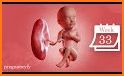 Fetal calculator PRO related image