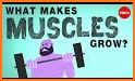 Fitness for Muscles | Fitcher related image