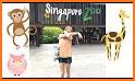 Singapore Zoo Park Map 2019 related image