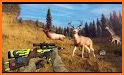 Deer Hunter 3D – Offline Games related image