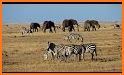 Wild Animals Safari (Full) related image