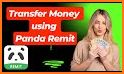 Panda Remit related image