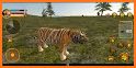 Real Tiger Family Sim 3D: Wild Animals Games 2021 related image