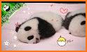 Baby Panda World related image