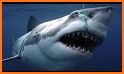 Sea Shark Adventure related image