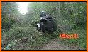 Quad Bike:Forest related image