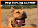 Dog Barking Sounds and Noises related image