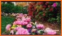 Garden Photo Frames : New Gardens photo editor related image