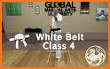 Learn Karate - Video Training Technical Classes related image