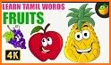 Arichuvadi All in One Kids Learning Tamil English related image