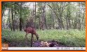 Little Deer Engineer and the Apple Tree related image