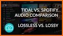 TIDAL - High Fidelity Music Streaming related image